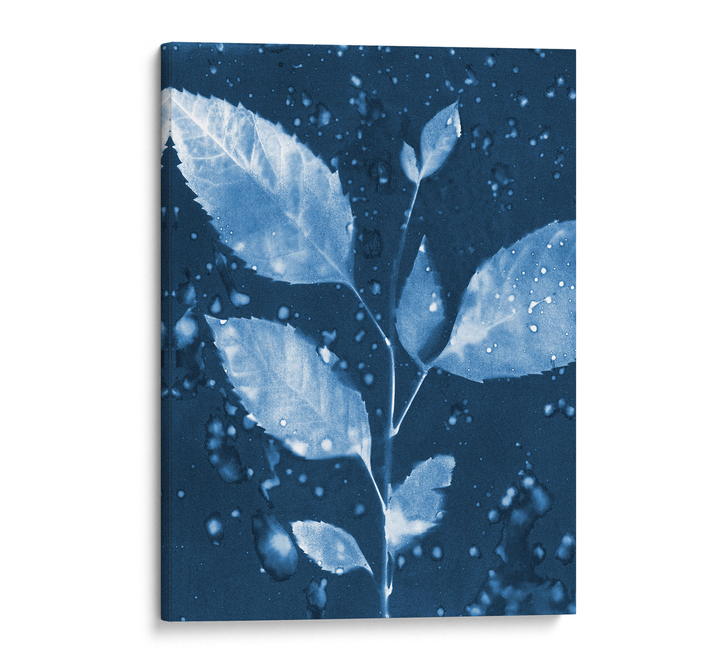 Canvas print of a cyanotype botanical artwork featuring a leafy branch with water droplets, set against a deep blue background.