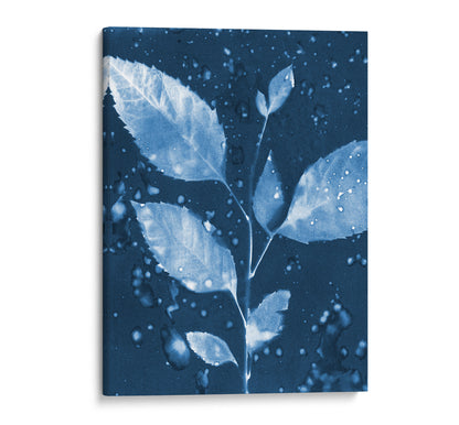 Canvas print of a cyanotype botanical artwork featuring a leafy branch with water droplets, set against a deep blue background.