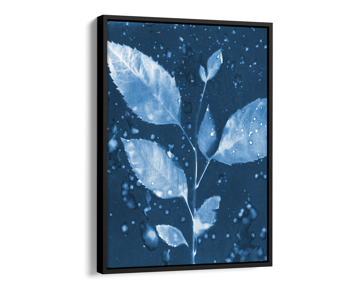 Black framed cyanotype botanical print on canvas featuring a delicate leafy branch with water droplets, set against a deep blue background.