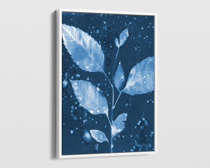 White framed cyanotype botanical print on canvas featuring a delicate leafy branch with water droplets, set against a deep blue background.