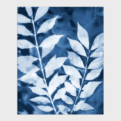 Cyanotype print of two leafy branches in white against a deep blue background, showcasing delicate vein details and organic shapes.