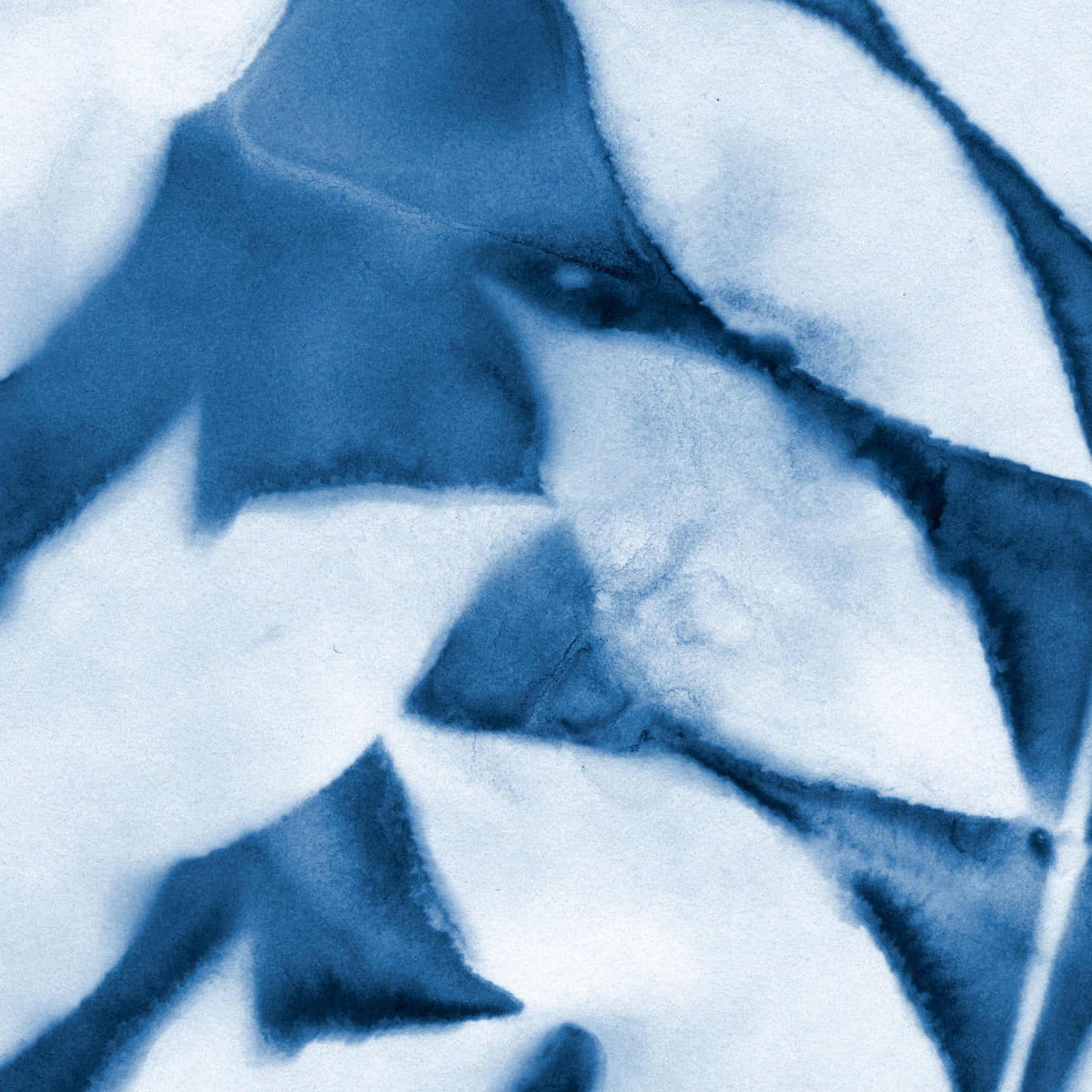 Close-up of a cyanotype print featuring deep blue and white organic shapes, highlighting leaf edges and delicate vein details.