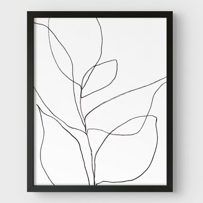 Minimalist Botanical Black and White Line Drawing Print