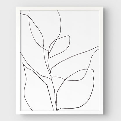 Minimalist Botanical Black and White Line Drawing Print