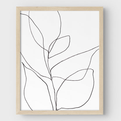 Minimalist Botanical Black and White Line Drawing Print