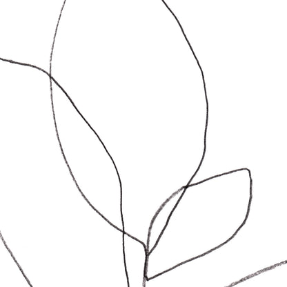 Minimalist Botanical Black and White Line Drawing Print