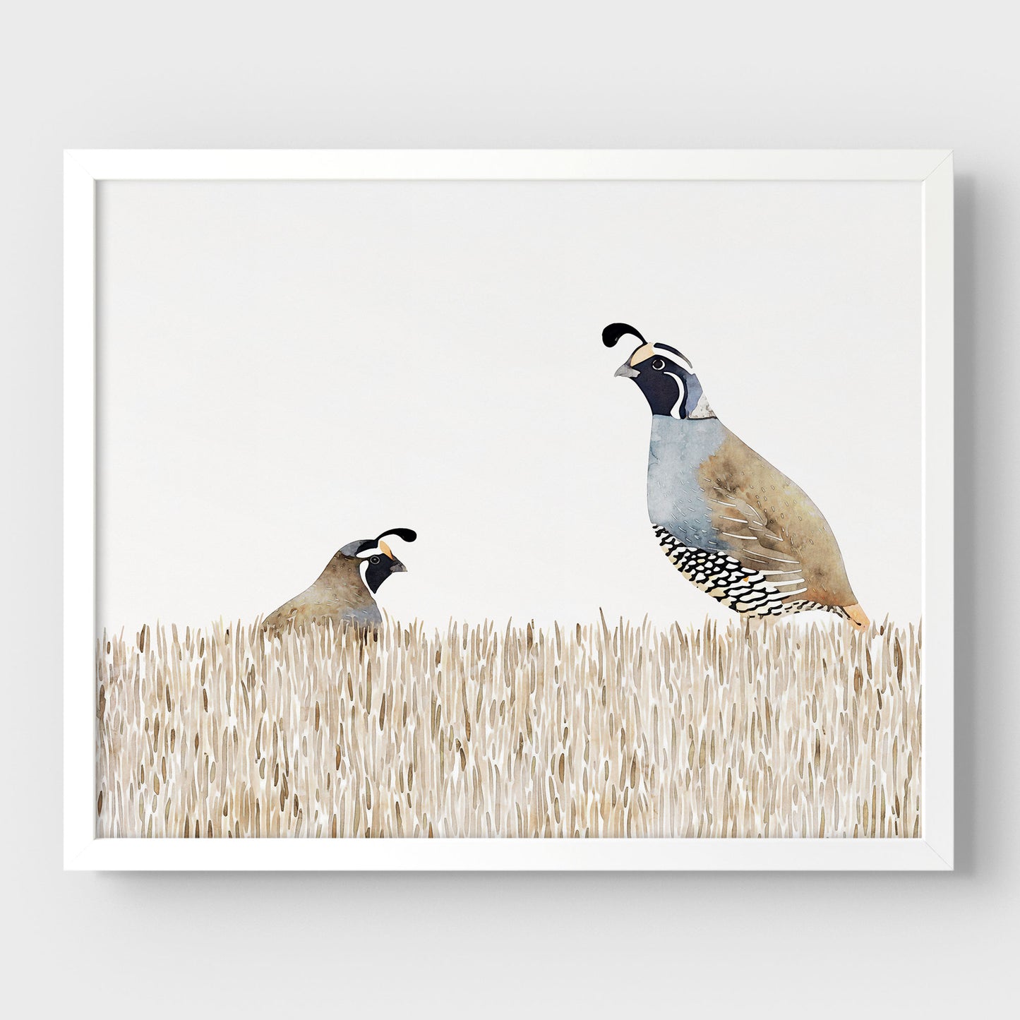 Minimalist California Quail Watercolor Print