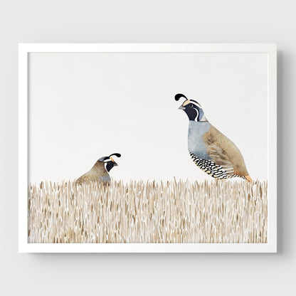 Minimalist California Quail Watercolor Print