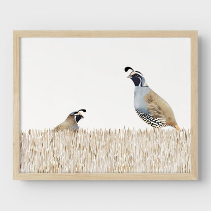 Minimalist California Quail Watercolor Print