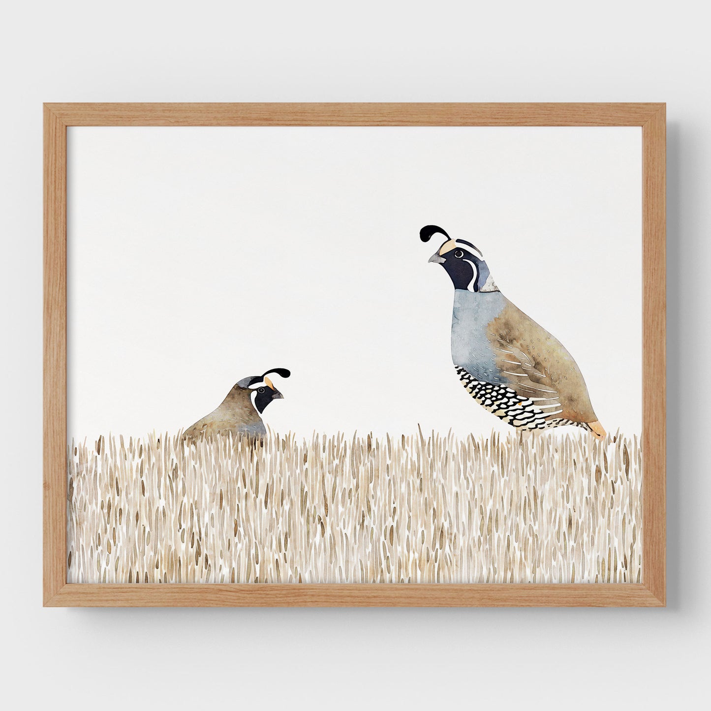 Minimalist California Quail Watercolor Print