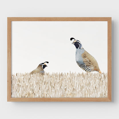 Minimalist California Quail Watercolor Print