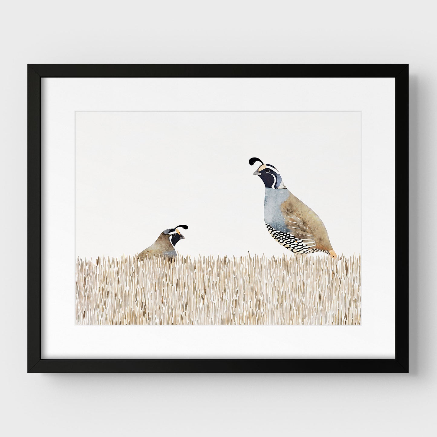 Minimalist California Quail Watercolor Print