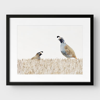 Minimalist California Quail Watercolor Print