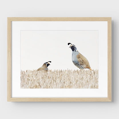 Minimalist California Quail Watercolor Print