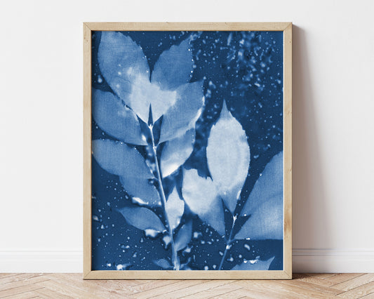 Moody Leaves Cyanotype Print