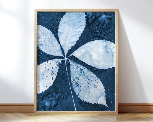 Leaf Spray Cyanotype Print