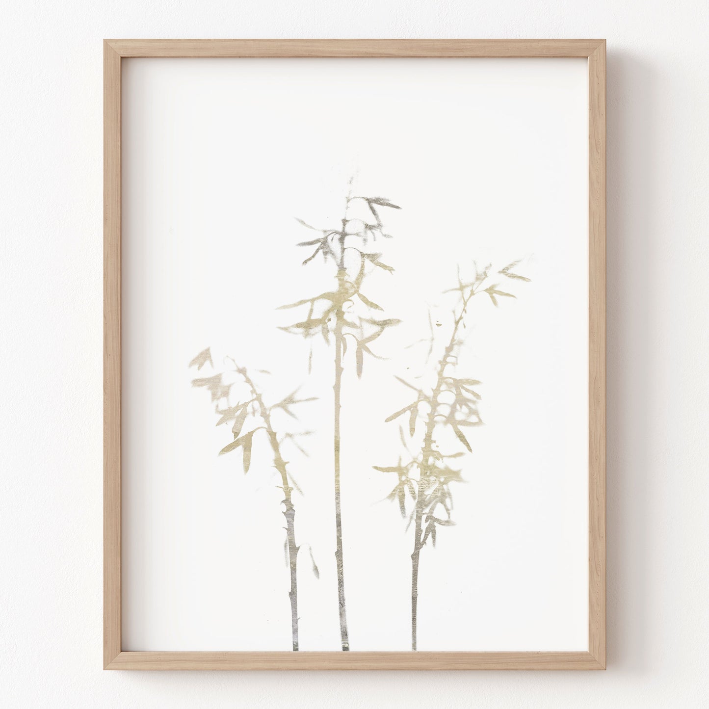 Framed artwork of bamboo on a white background