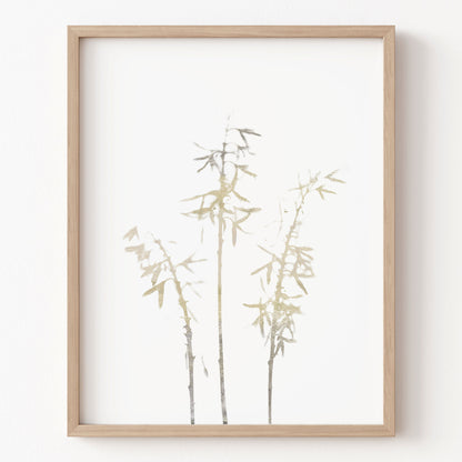 Framed artwork of bamboo on a white background