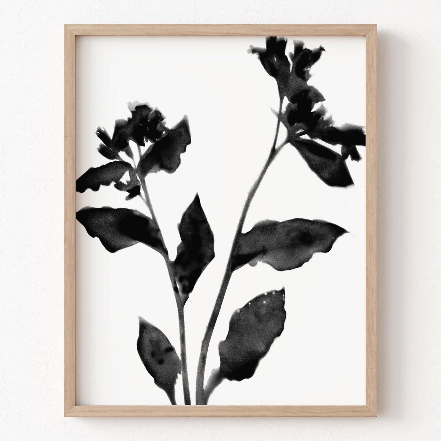 Framed artwork of black floral leaves on a white background