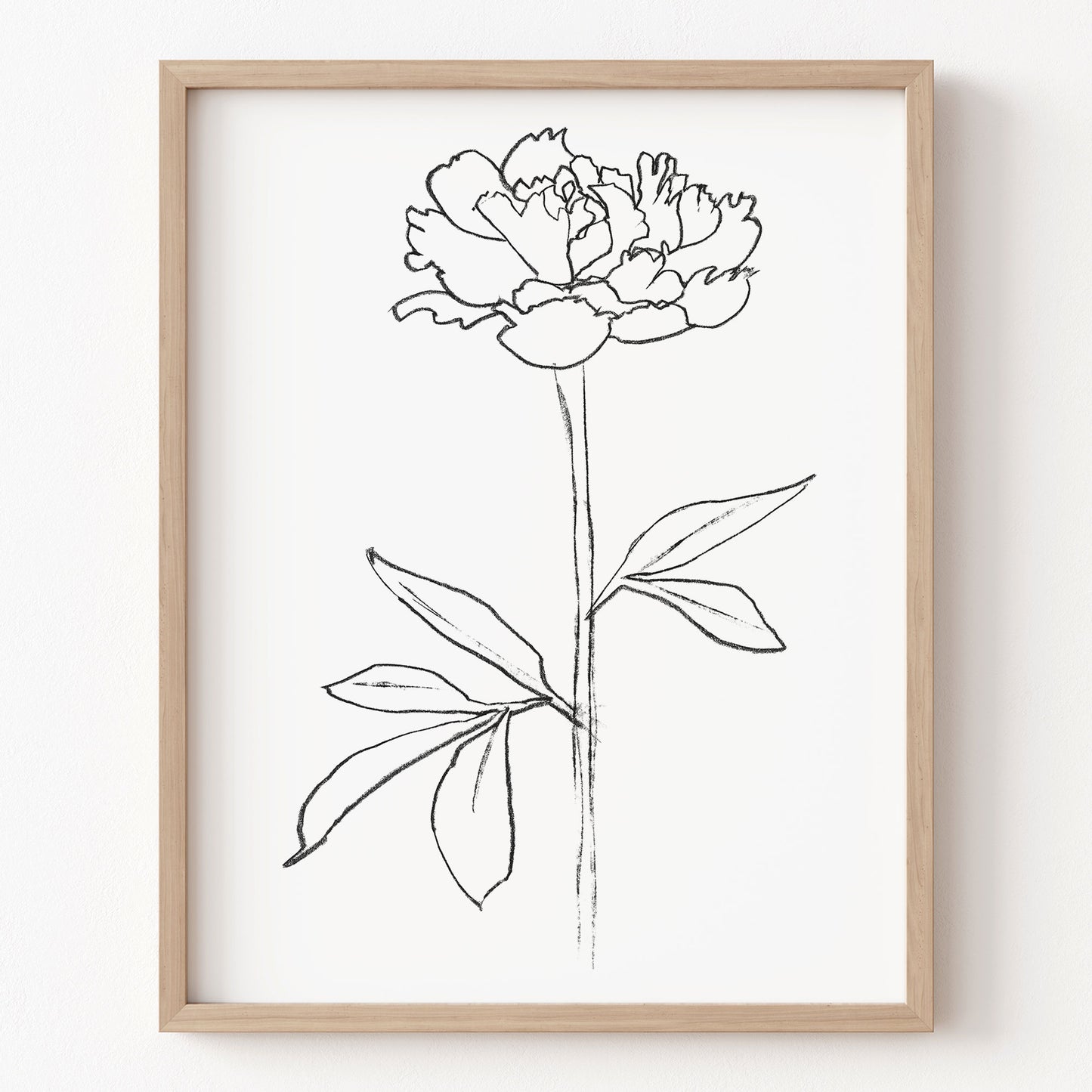 Framed line drawing of a flower on a white wall