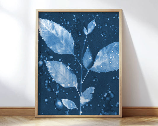 Rainy Leaves Cyanotype Print