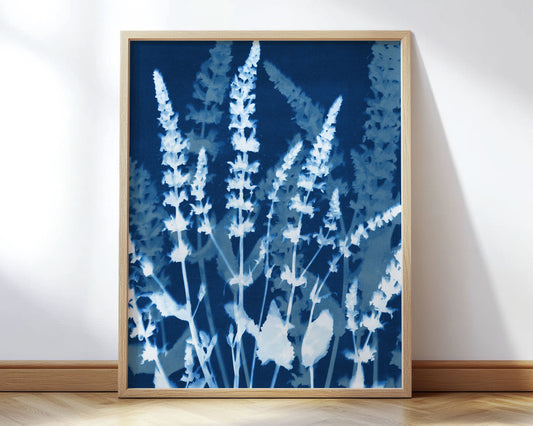 Salvia Cyanotype Print