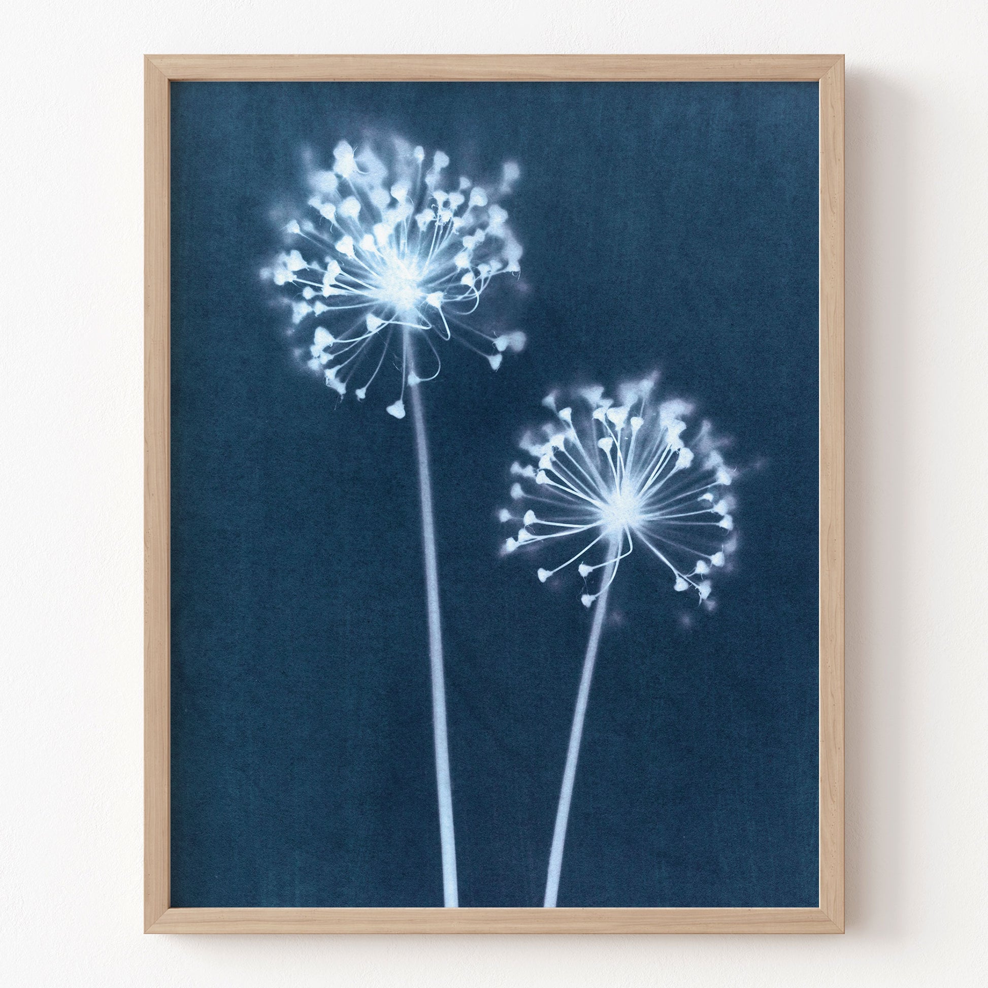 Framed artwork of white flowers on a blue background