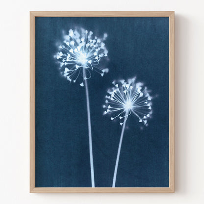 Framed artwork of white flowers on a blue background