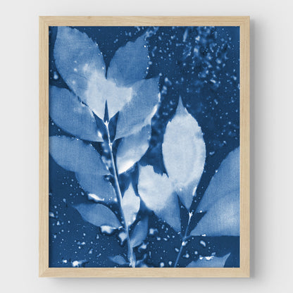 Moody Leaves Cyanotype Print