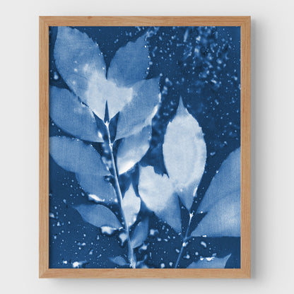 Moody Leaves Cyanotype Print
