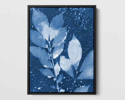 Moody Leaves Cyanotype Print