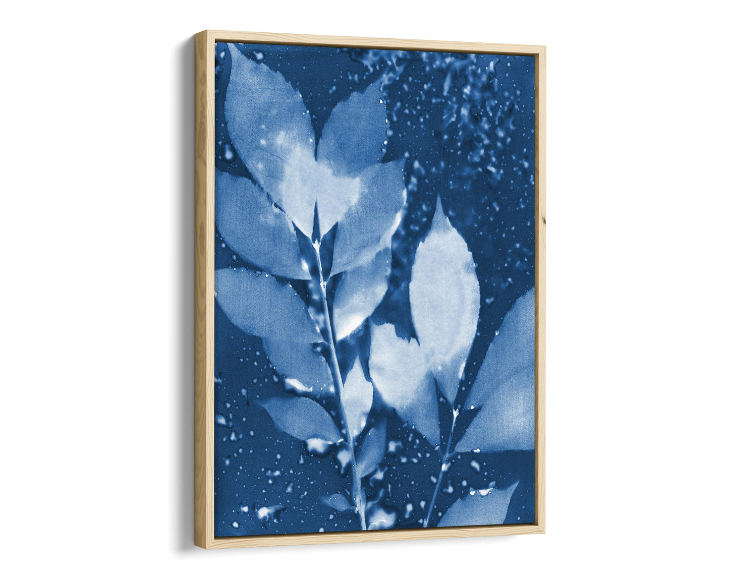 Natural wood framed canvas print of a cyanotype botanical artwork featuring delicate leaves in deep blue and white, with water droplet textures adding organic depth.