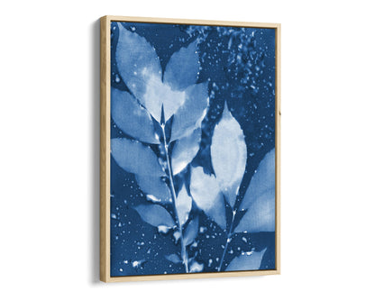 Natural wood framed canvas print of a cyanotype botanical artwork featuring delicate leaves in deep blue and white, with water droplet textures adding organic depth.