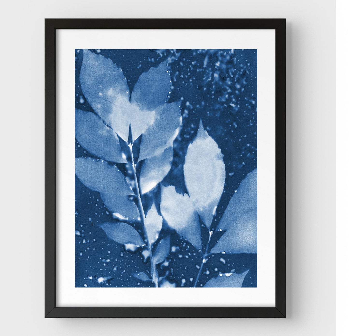 Framed cyanotype print of botanical leaves in deep blue and white, featuring a textured background with organic water droplets, set against a white border and black frame.