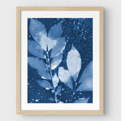 Framed cyanotype print of botanical leaves in deep blue and white, featuring a textured background with organic water droplets, set against a white border and natural wood frame.