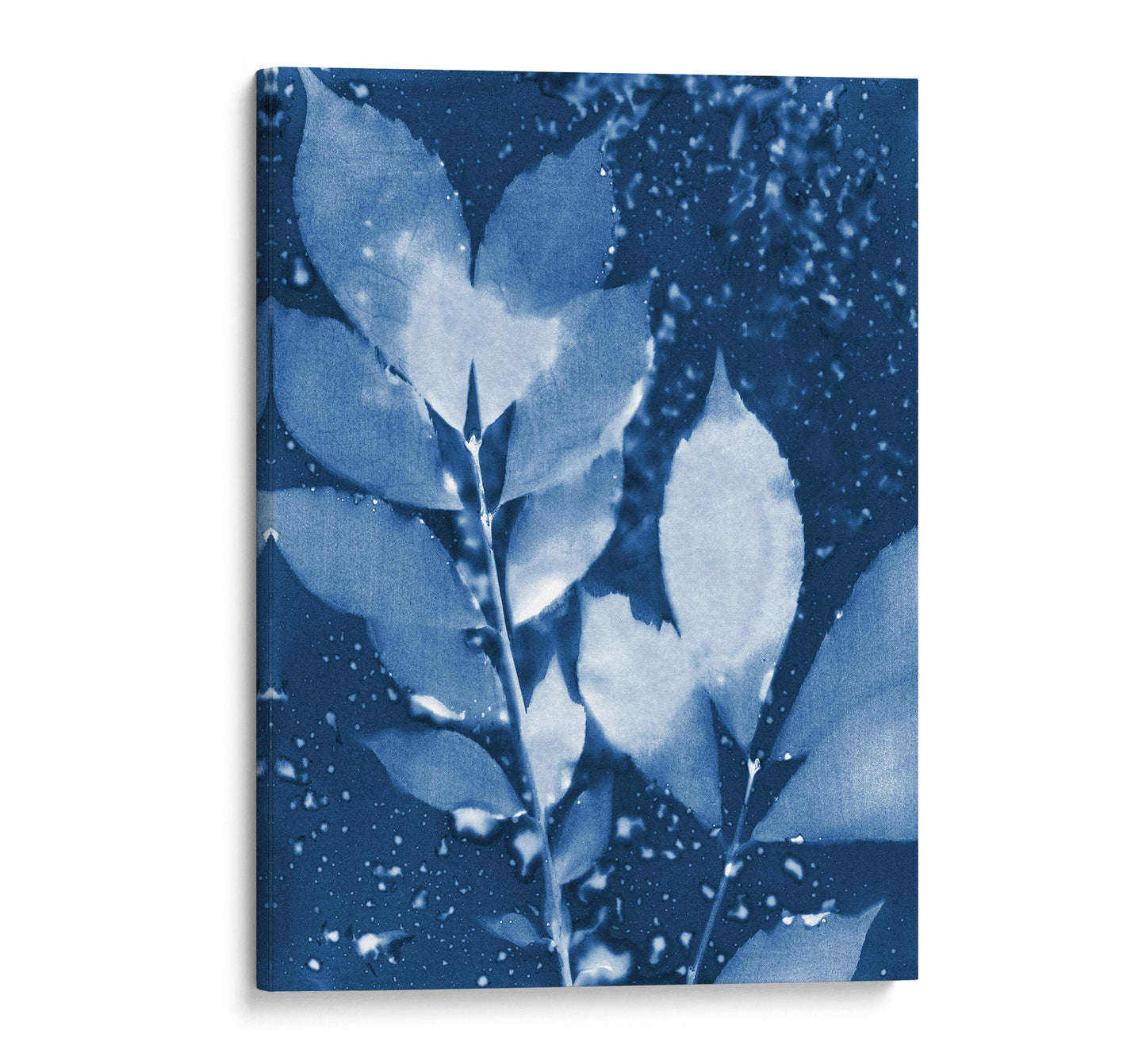 Canvas print of a cyanotype botanical artwork featuring detailed leaves in deep blue and white, with a textured background and organic water droplets.