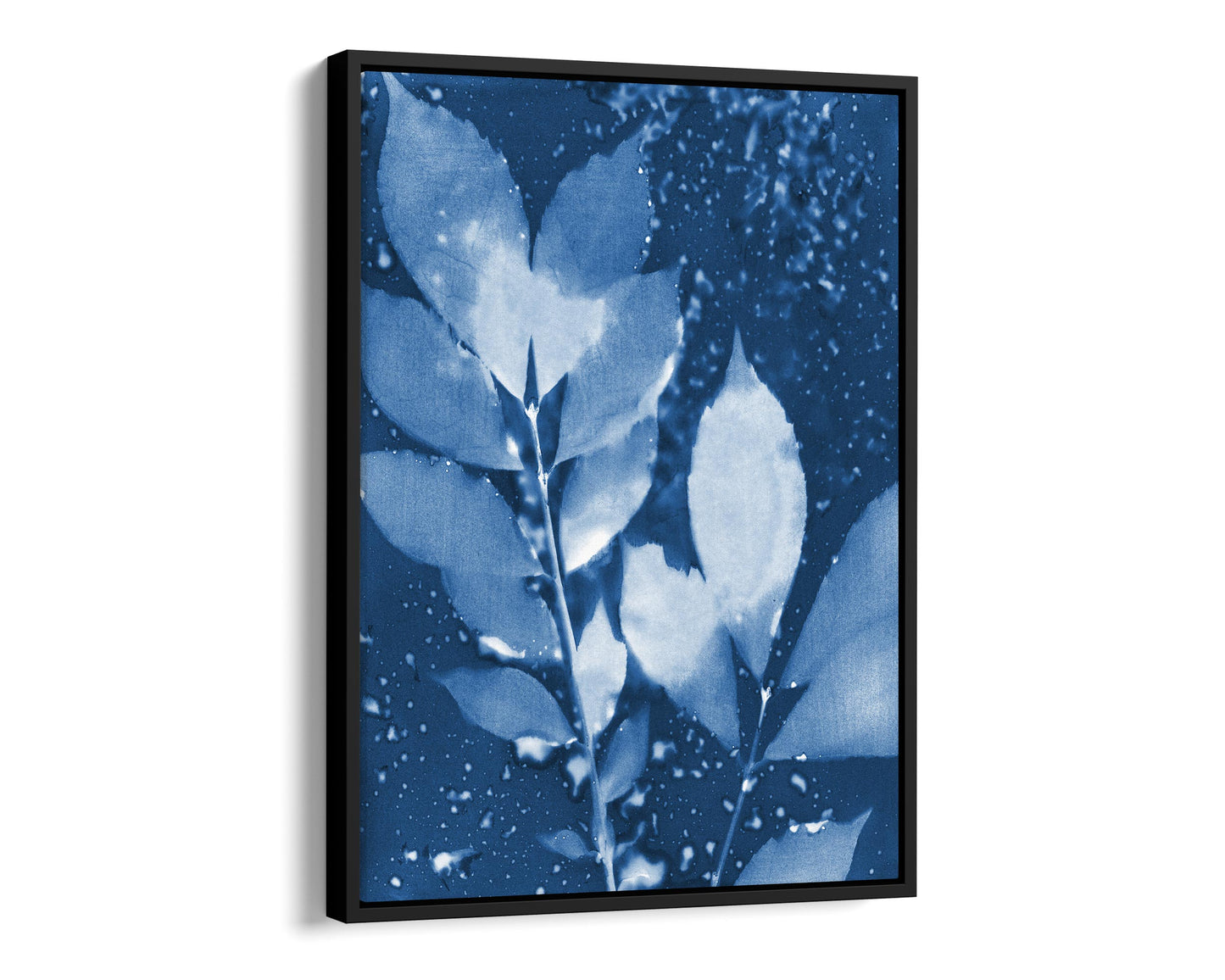 Black framed canvas print of a cyanotype botanical artwork featuring delicate leaves in deep blue and white, with water droplet textures adding organic depth.
