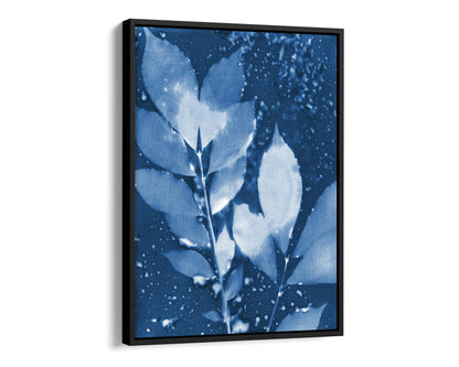 Black framed canvas print of a cyanotype botanical artwork featuring delicate leaves in deep blue and white, with water droplet textures adding organic depth.