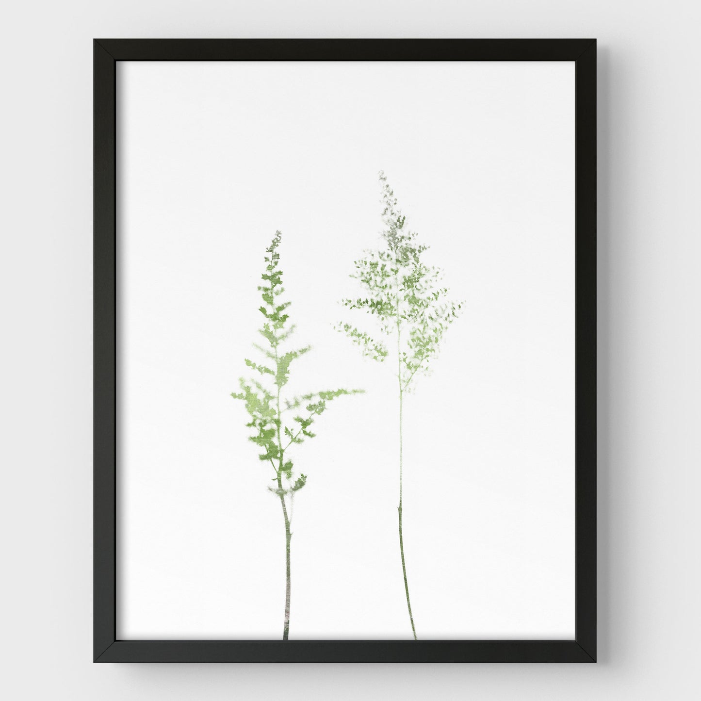 Olive Green Minimalist Wildflower Botanical Illustration Print