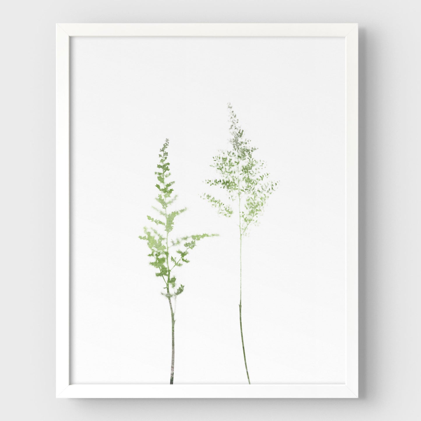 Olive Green Minimalist Wildflower Botanical Illustration Print