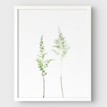 Olive Green Minimalist Wildflower Botanical Illustration Print