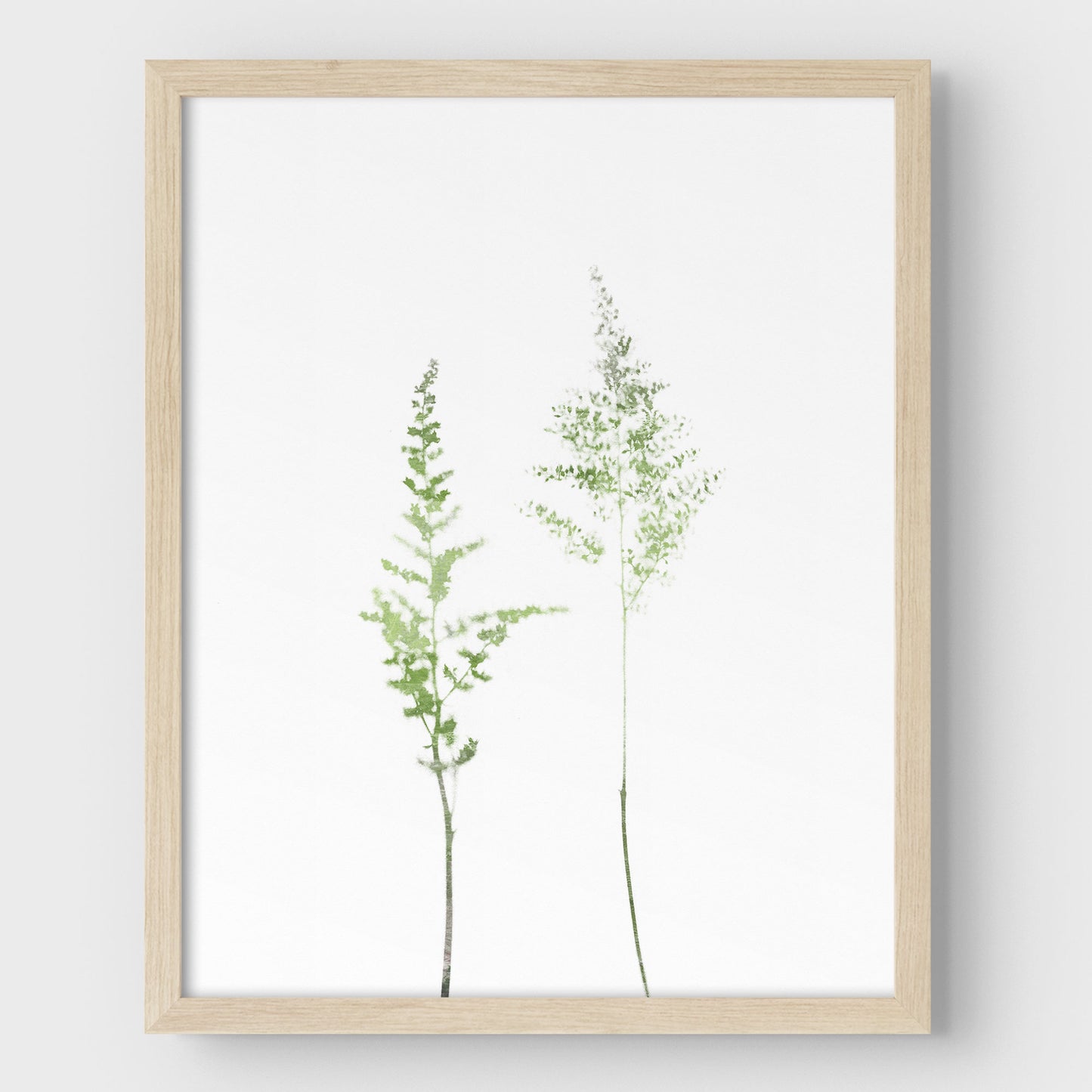 Olive Green Minimalist Wildflower Botanical Illustration Print