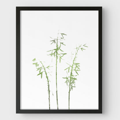 Olive Green Bamboo Minimalist Botanical Illustration Print