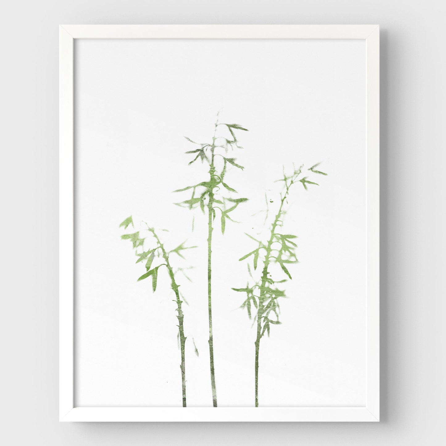 Olive Green Bamboo Minimalist Botanical Illustration Print