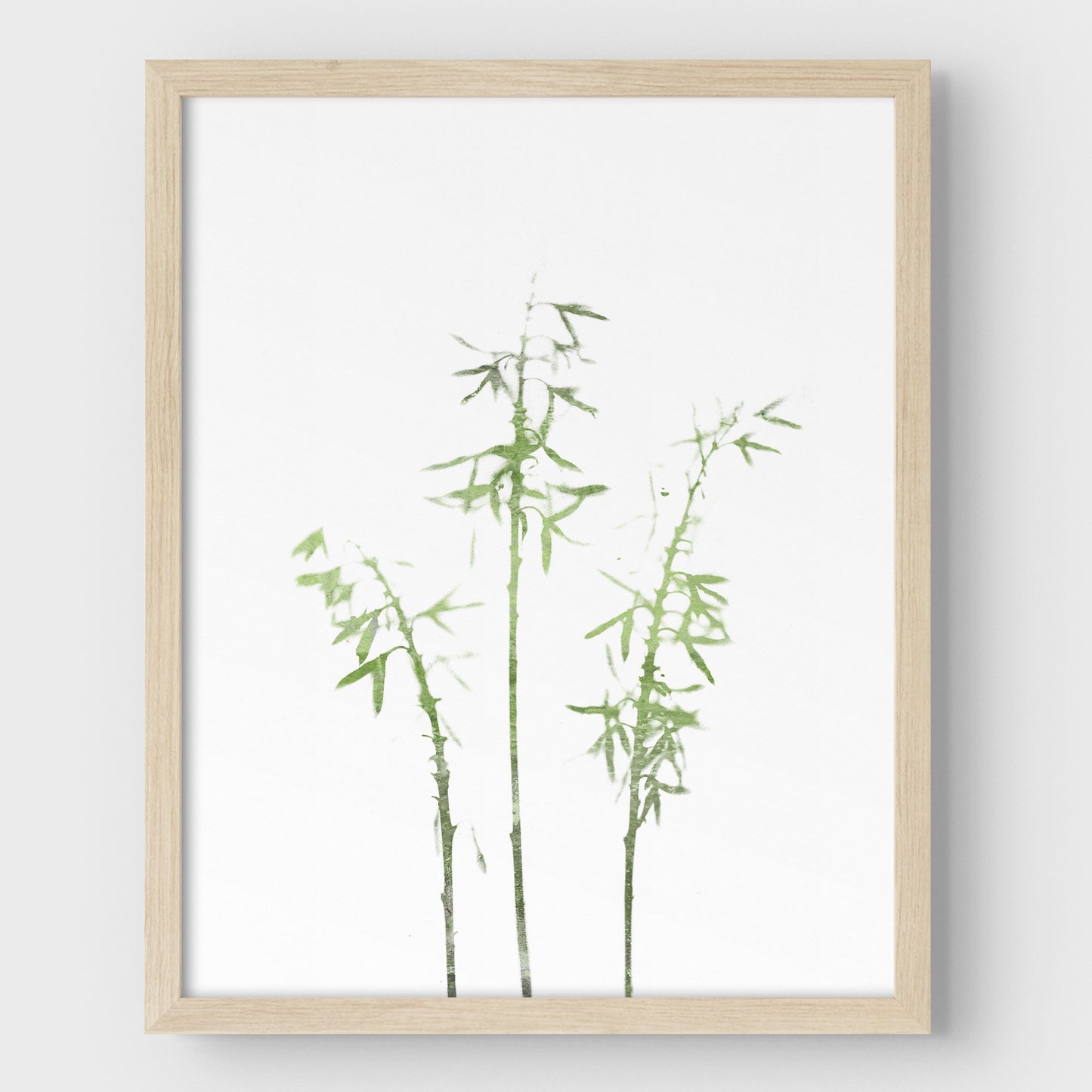 Olive Green Bamboo Minimalist Botanical Illustration Print