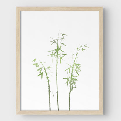 Olive Green Bamboo Minimalist Botanical Illustration Print