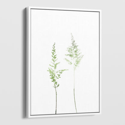 Olive Green Minimalist Wildflower Botanical Illustration Print