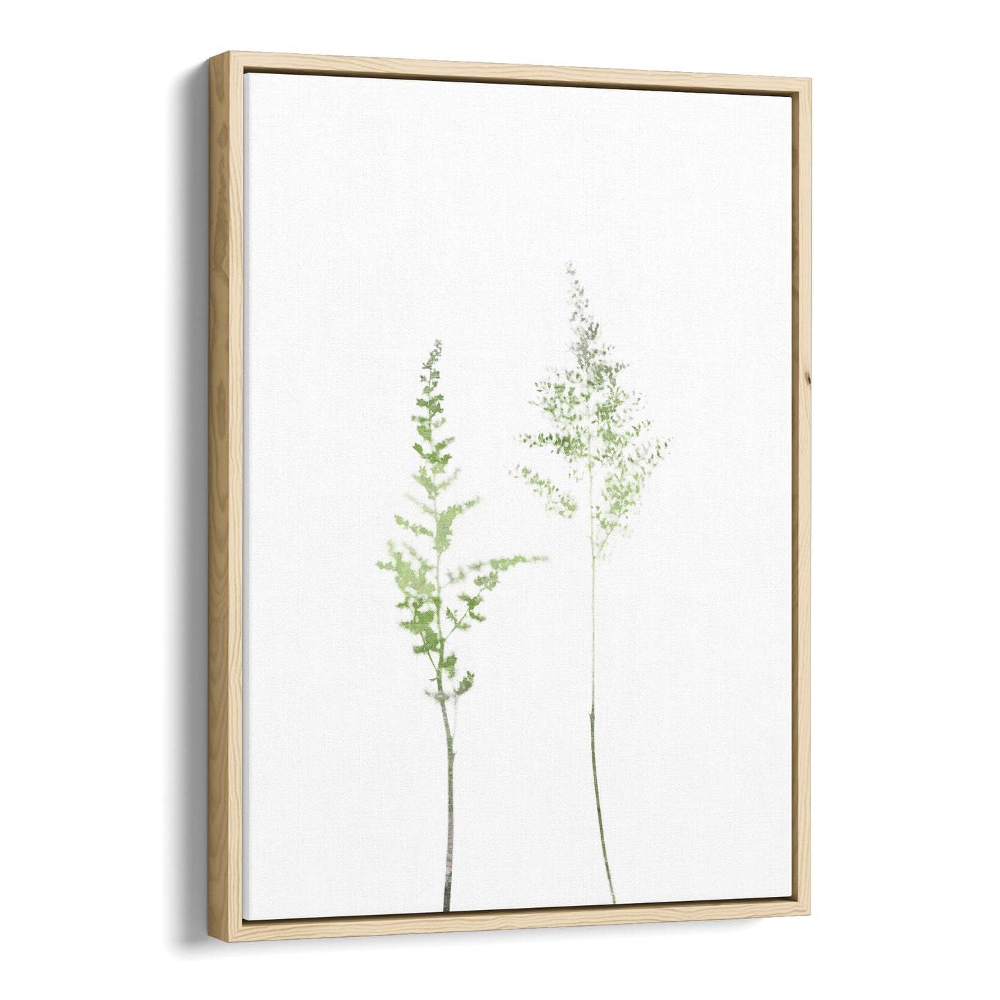 Olive Green Minimalist Wildflower Botanical Illustration Print