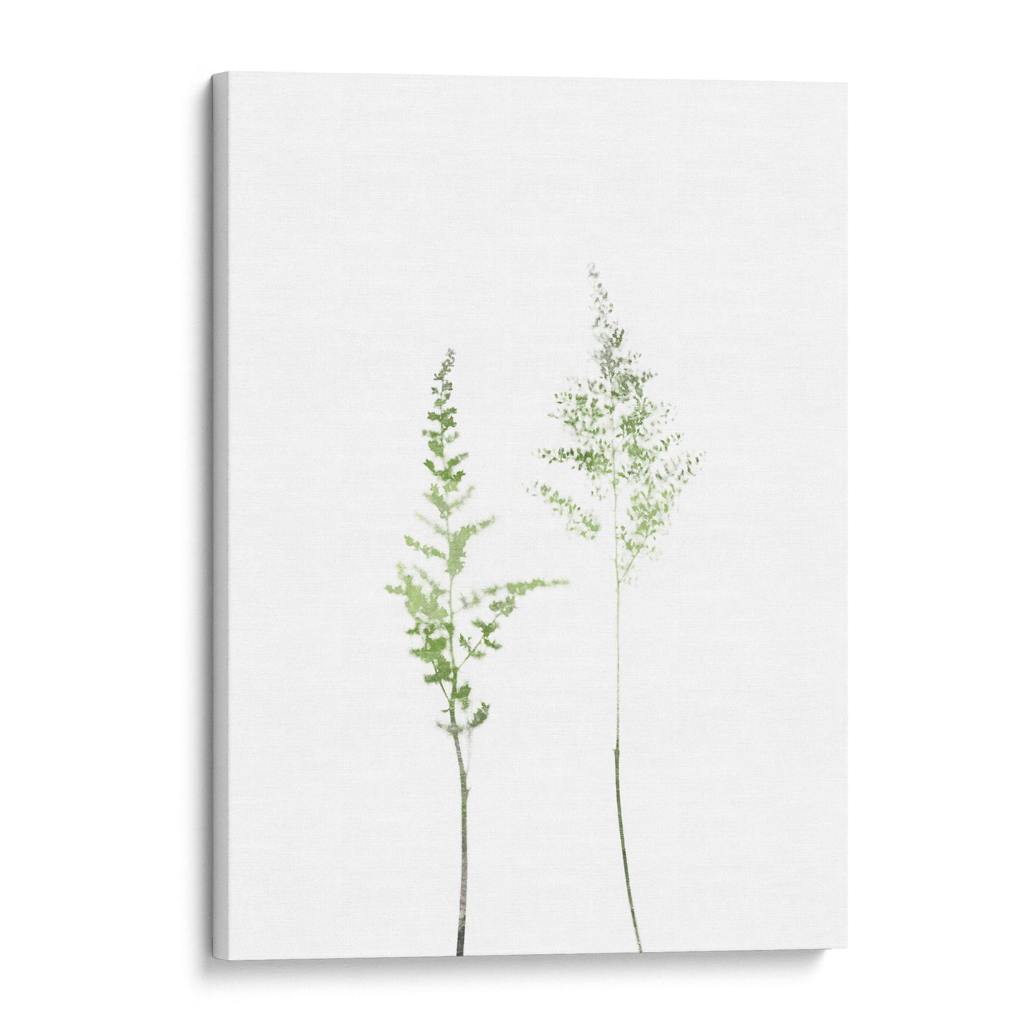 Olive Green Minimalist Wildflower Botanical Illustration Print