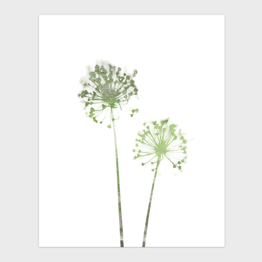 Olive Green Minimalist Dandelion Print